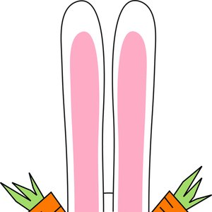 The Little White Bunny 的头像