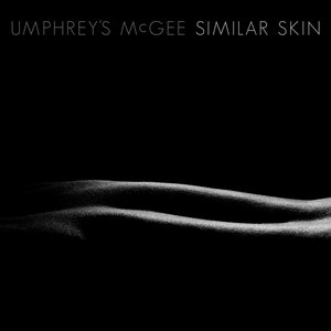 Image for 'Similar Skin'