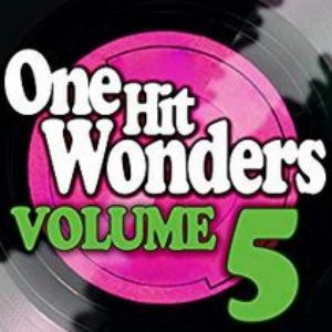 One Hit Wonders - Vol. 5