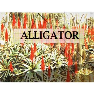 Image for 'Alligator - EP'