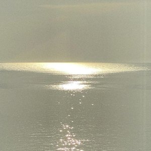 Avatar di Amice