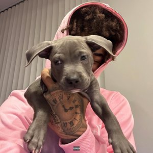 Jbreezo のアバター