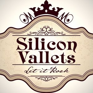 Silicon Vallets 的头像