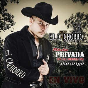Fiesta Privada En La Sierra De Durango