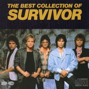 The best collection of survivor