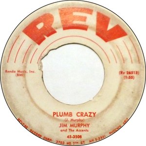 Jim Murphy & the Accents 的头像