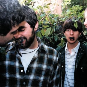Avatar de Animal Collective