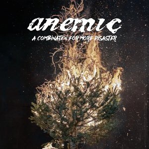 A Combination for More Disaster - Single