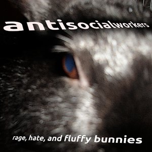rage, hate, and fluffy bunnies