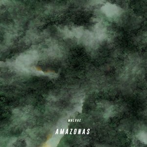 Amazonas (Remixes)