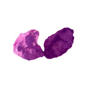 Avatar for prplhed