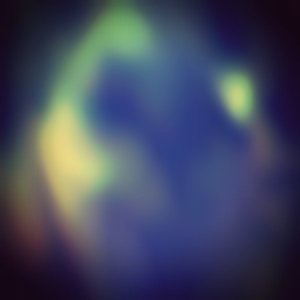 The noises within