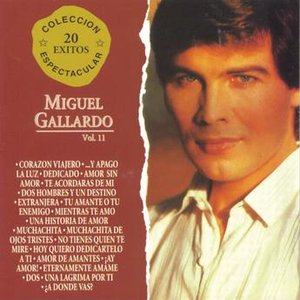 Coleccion Espectacular 20 Exitos Vol. 2