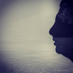 Greyfade 的头像