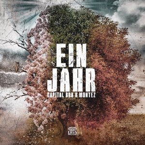 Ein Jahr - Single