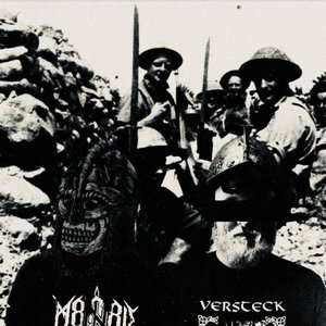 Barbaryans Hammer 的头像