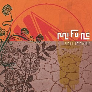 Afro-electronique
