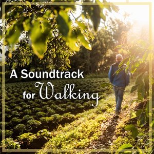 A Soundtrack for Walking: Tchaikovsky