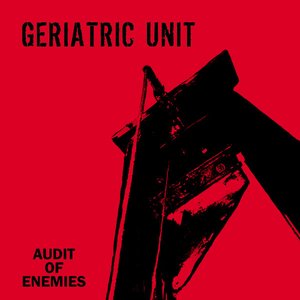 Audit Of Enemies