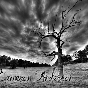 “Cameron Anderson”的封面