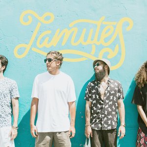 Lamutes 的头像