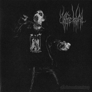 Satanisk Norsk Black Metal