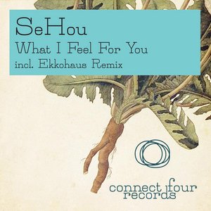 What I Feel for You (Ekkohaus Remix)