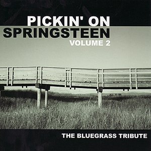 Pickin' On Bruce Springsteen Volume 2: The Bluegrass Tribute