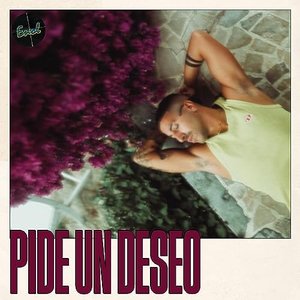 PIDE UN DESEO