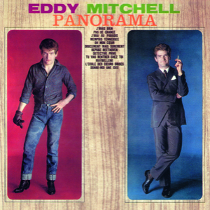 Panorama cover