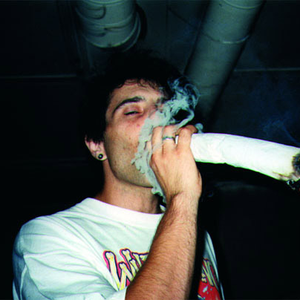 Total Fucking Destruction photo provided by Last.fm