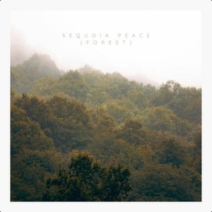 Sequoia Peace (Forest)
