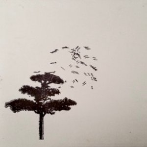 demo