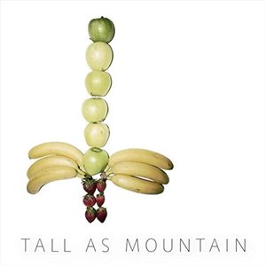 Tall as Mountain - Single