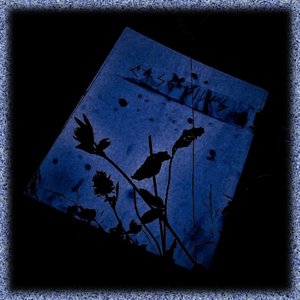 Case Files