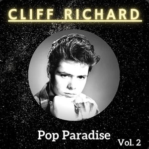 Pop Paradise, Vol. 2