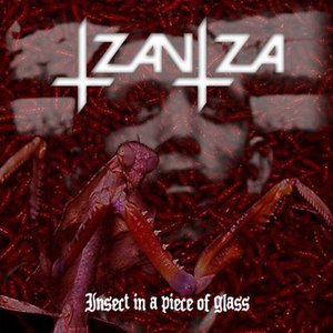 Insect In A Piece Of Glass