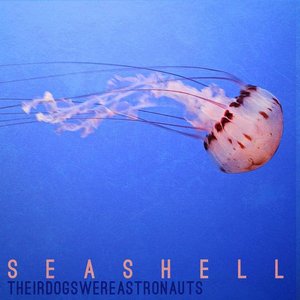 Seashell