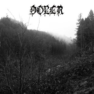 Doler 的头像