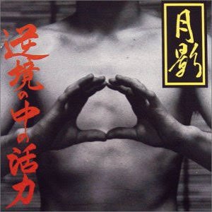 逆境の中の活力