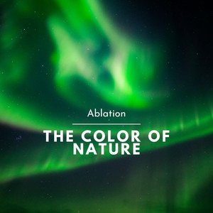 The Color Of Nature