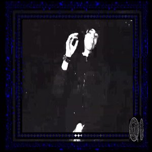 Avatar for Vektorcrush