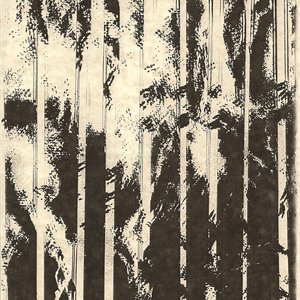 Vomir