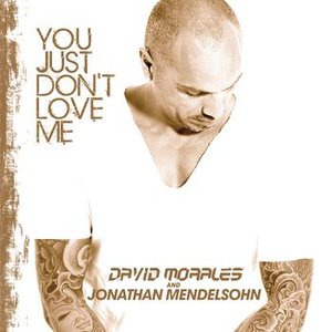 You Just Dont Love Me