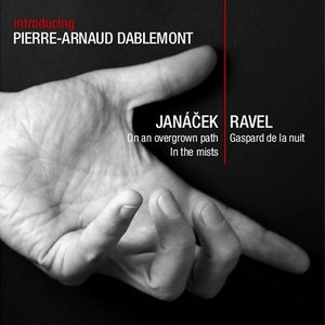 Image for 'Introducing Pierre-Arnaud Dablemont'