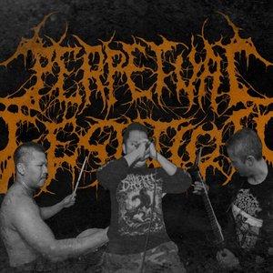 Perpetual Gestation 的头像