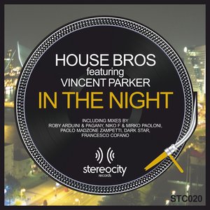 In the Night (feat. Vincent Parker)