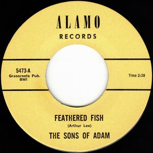 Feathered Fish / Baby Show the World