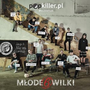 Popkiller Młode Wilki 6