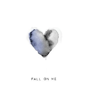 Immagine per 'Fall On Me'